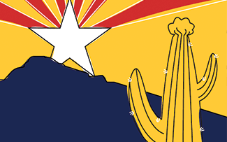 CivEd The Arizona Constitution Project 